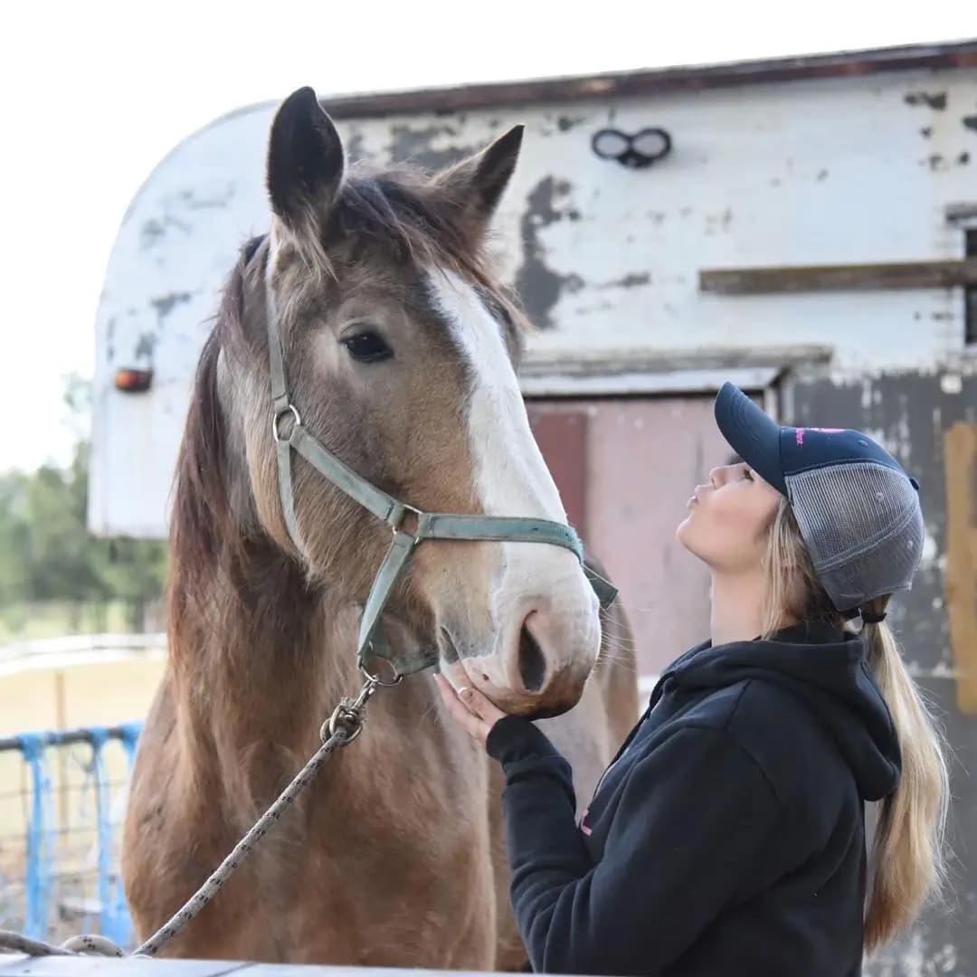 1-hour Horse Ride - Bushland Trail thumbnail